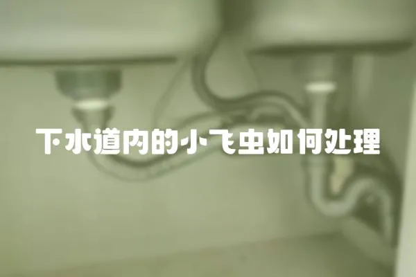 下水道內的小飛蟲如何處理