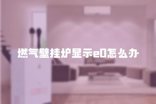 燃氣壁掛爐顯示e0怎么辦