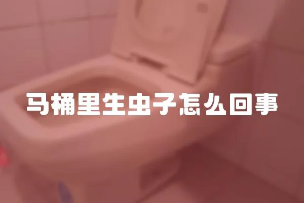 马桶里生虫子怎么回事