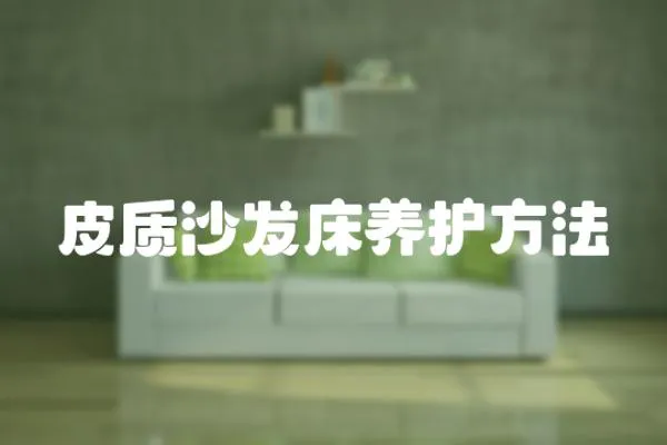 皮質沙發(fā)床養(yǎng)護方法