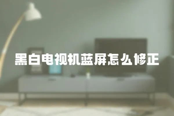 黑白電視機藍(lán)屏怎么修正