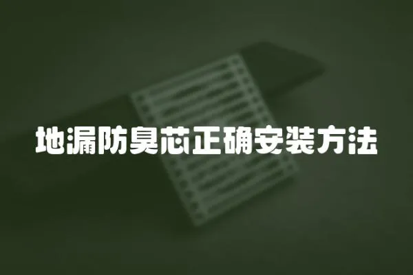 地漏防臭芯正確安裝方法