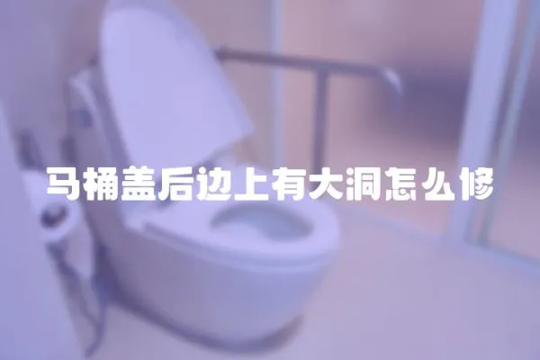 馬桶蓋后邊上有大洞怎么修