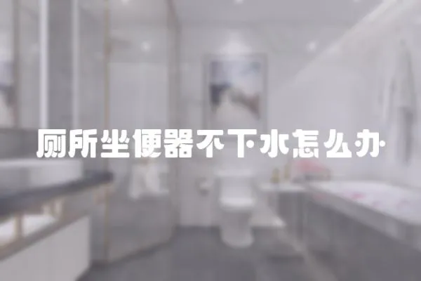 廁所坐便器不下水怎么辦
