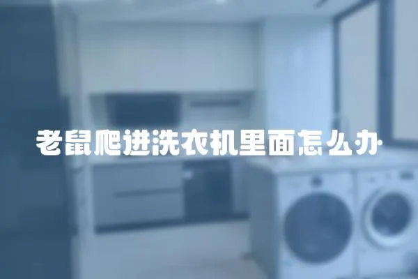 老鼠爬進(jìn)洗衣機(jī)里面怎么辦