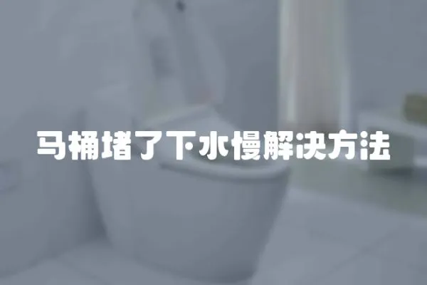 馬桶堵了下水慢解決方法