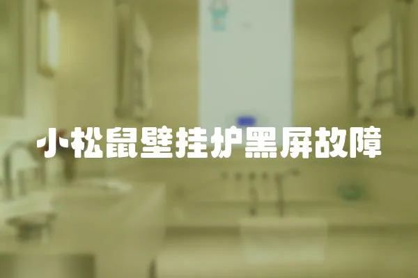 小松鼠壁掛爐黑屏故障