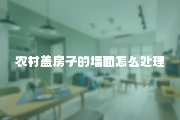 農村蓋房子的墻面怎么處理