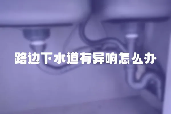 路邊下水道有異響怎么辦