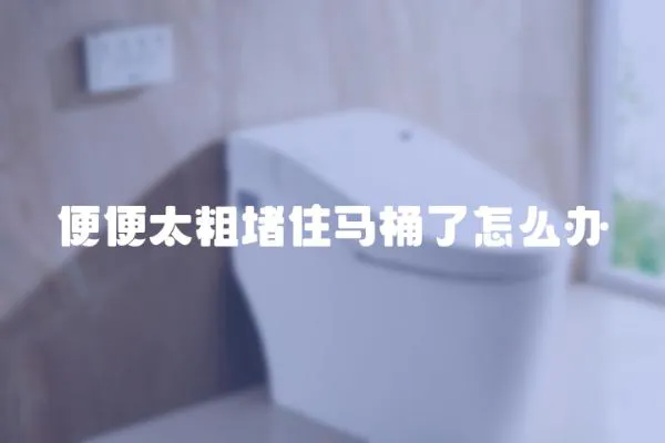 便便太粗堵住馬桶了怎么辦