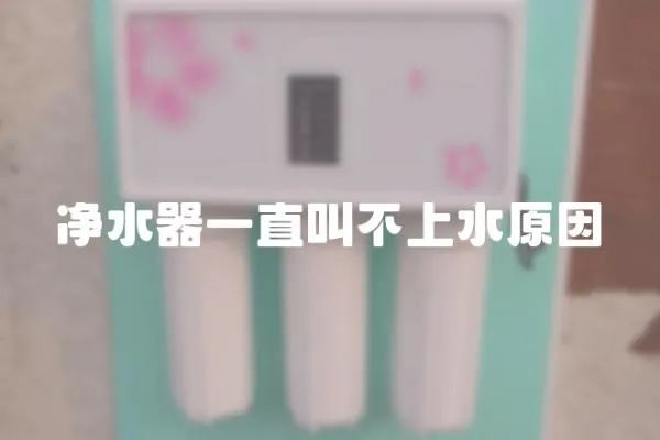 凈水器一直叫不上水原因
