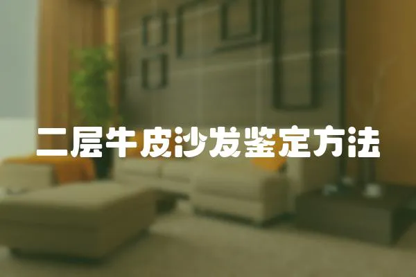 二層牛皮沙發鑒定方法