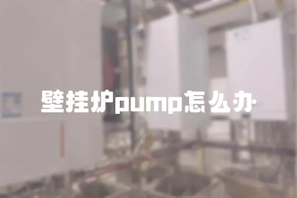 壁掛爐pump怎么辦
