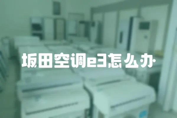 坂田空調(diào)e3怎么辦