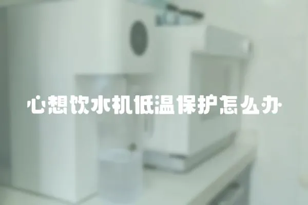 心想飲水機(jī)低溫保護(hù)怎么辦