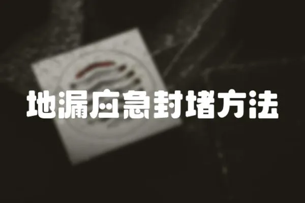地漏應急封堵方法