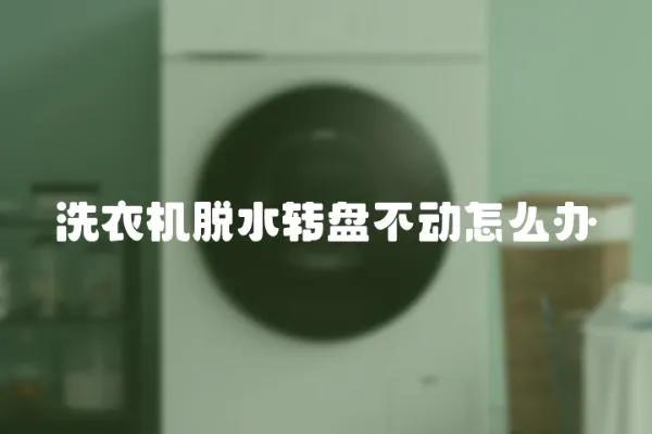 洗衣機脫水轉盤不動怎么辦