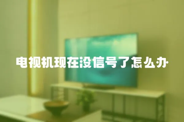 電視機現在沒信號了怎么辦
