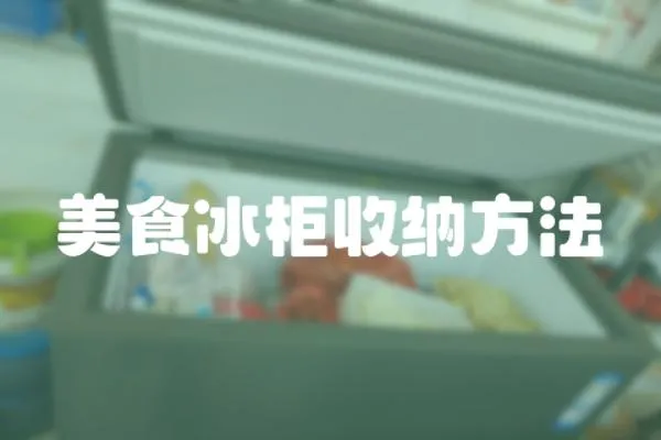美食冰柜收納方法