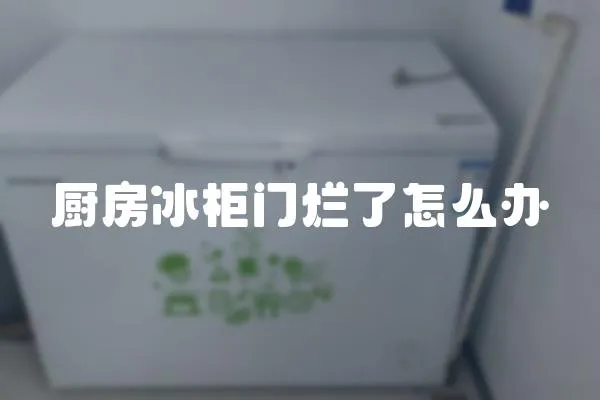 廚房冰柜門爛了怎么辦