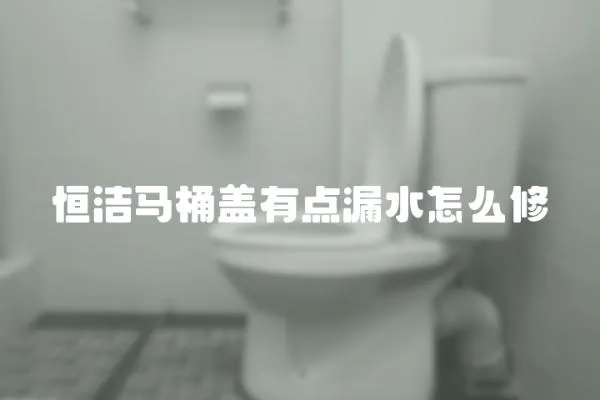 恒潔馬桶蓋有點漏水怎么修