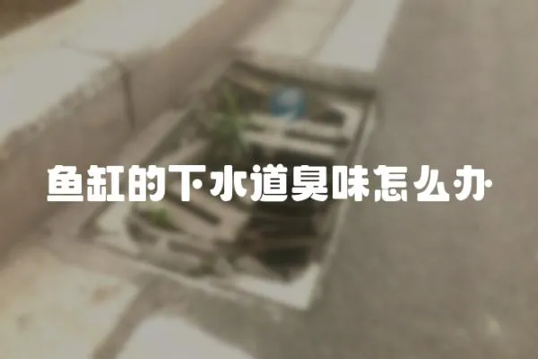 魚缸的下水道臭味怎么辦