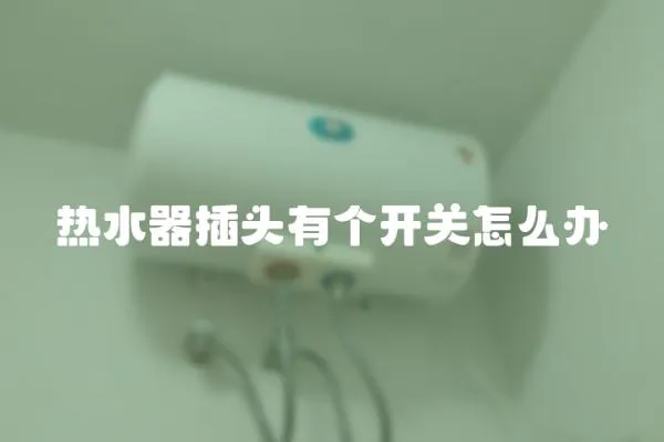 熱水器插頭有個開關怎么辦