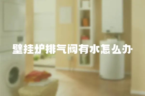 壁掛爐排氣閥有水怎么辦