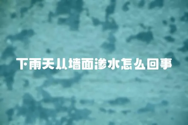 下雨天從墻面滲水怎么回事