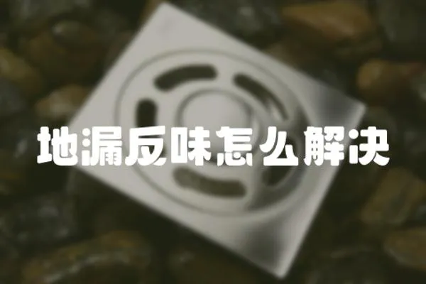 地漏反味怎么解決