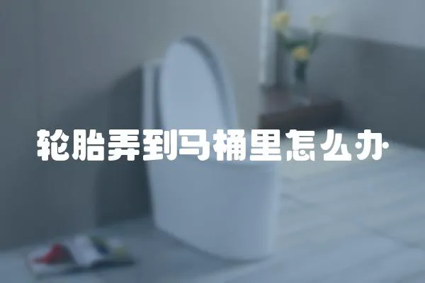 輪胎弄到馬桶里怎么辦