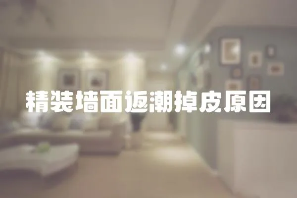 精裝墻面返潮掉皮原因