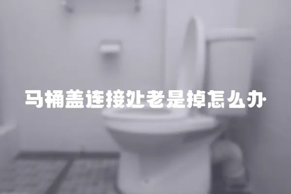 馬桶蓋連接處老是掉怎么辦