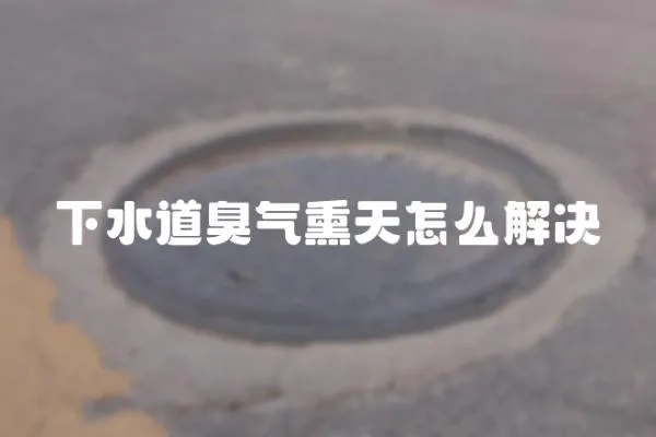 下水道臭氣熏天怎么解決