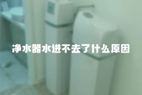 凈水器水進(jìn)不去了什么原因