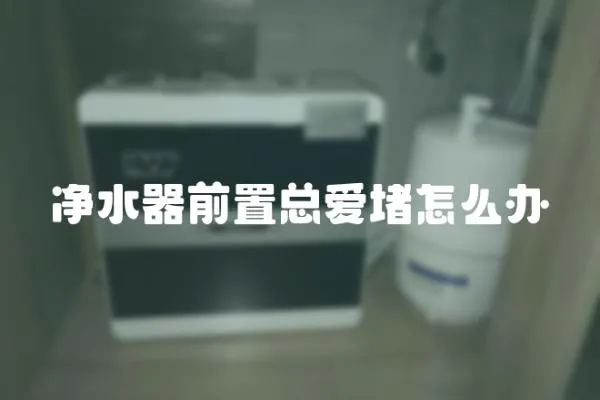 凈水器前置總愛(ài)堵怎么辦
