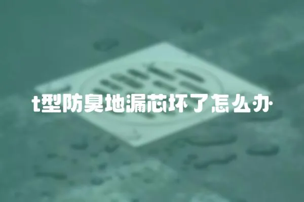 t型防臭地漏芯壞了怎么辦