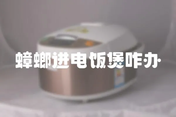 蟑螂進電飯煲咋辦