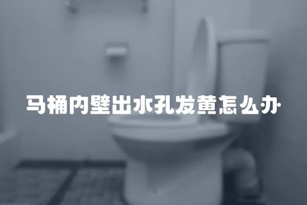 馬桶內壁出水孔發黃怎么辦