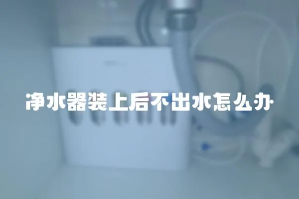 净水器装上后不出水怎么办