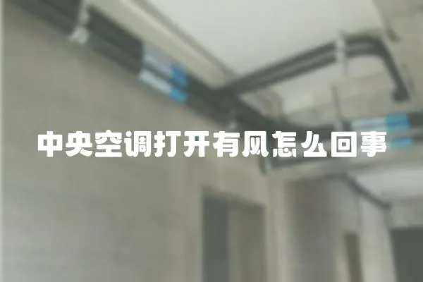 中央空調打開有風怎么回事