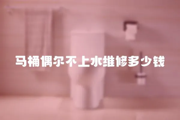 馬桶偶爾不上水維修多少錢