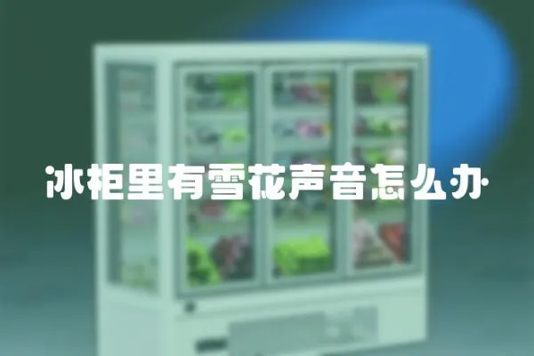 冰柜里有雪花聲音怎么辦