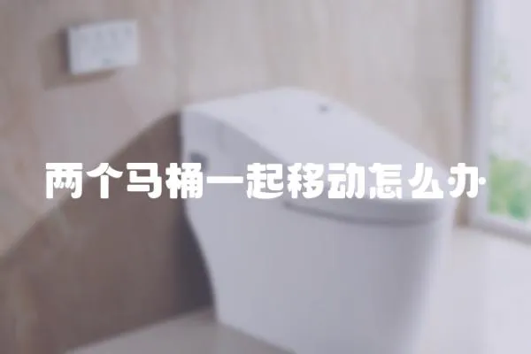 兩個馬桶一起移動怎么辦