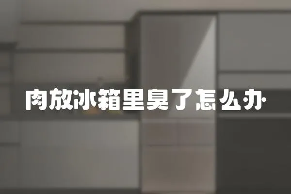 肉放冰箱里臭了怎么辦