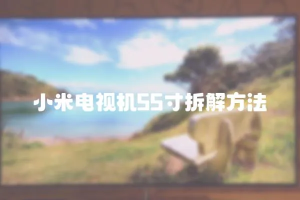 小米電視機55寸拆解方法