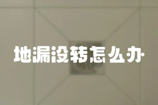 地漏沒轉怎么辦