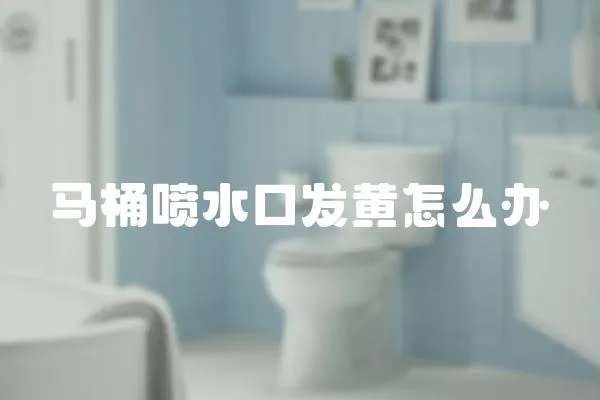 馬桶噴水口發(fā)黃怎么辦