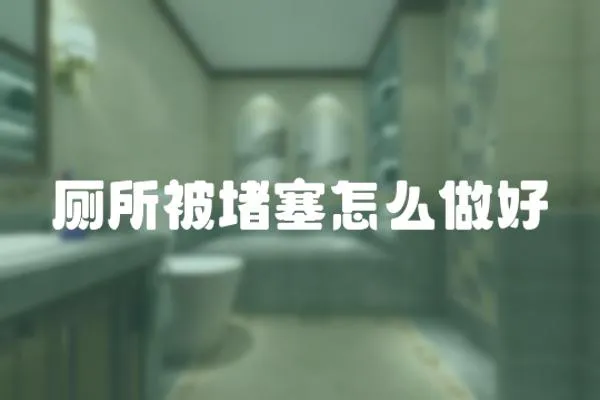 廁所被堵塞怎么做好