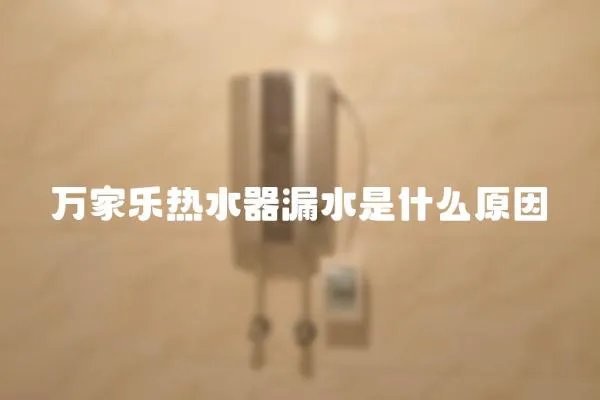 萬家樂熱水器漏水是什么原因